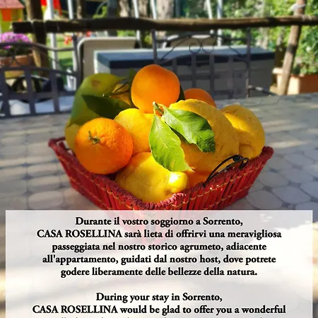 度假居 Casa Rosellina *