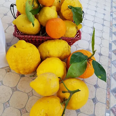 Casa Rosellina * 索伦托