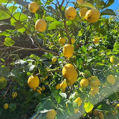 Casa Rosellina 度假居