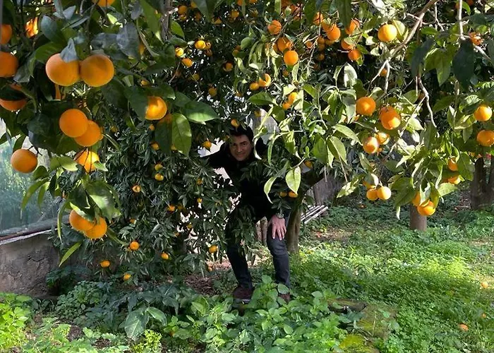 Casa Rosellina 度假居 索伦托