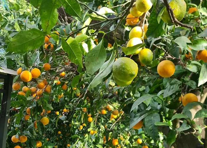 Casa Rosellina 度假居