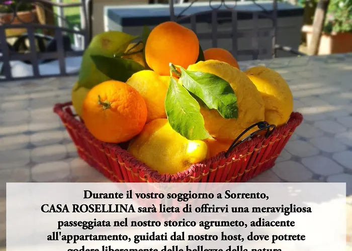 度假居 Casa Rosellina *