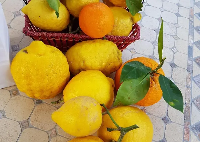 Casa Rosellina * 索伦托