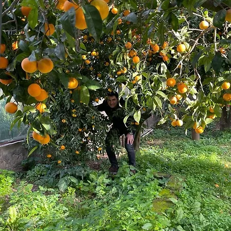 Casa Rosellina בית נופש סורנטו